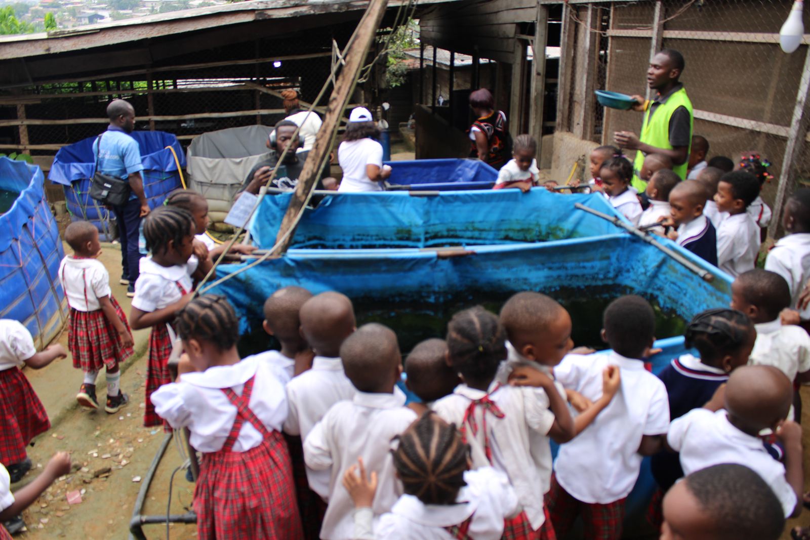 Activité aquatique encadrée pour les enfants de maternelle